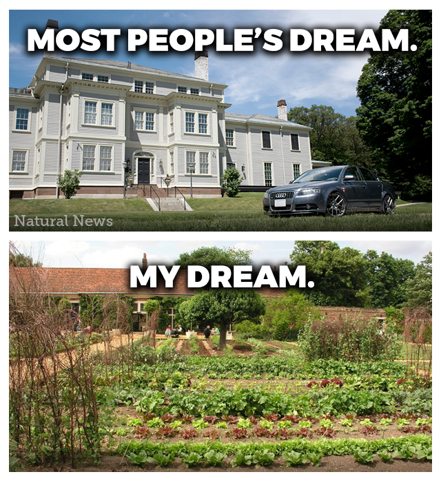 Infographic most peoples dream